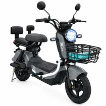 Moto Electri...
