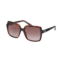  Lente Guess...