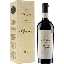  Cricova Vin...