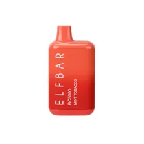 Elf Bar BC 5K Mint Tobacco