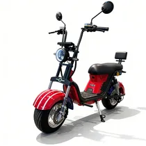  Scooter Elé...