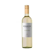  Vinho Benja...