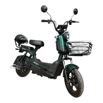  Moto Eléctr...
