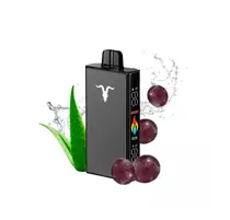 Ignite V250 Black Alo Grape Ice