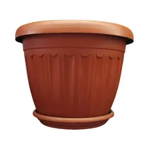  Maceta de P...