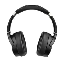  Audeze Head...