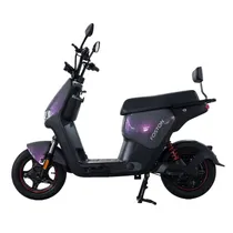 Moto Eletric...