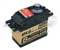 MKS BLS950 ...
