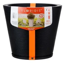 Floridis Ma...