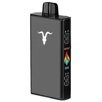 Ignite Vaper Desechable V250 Black 25000PUFFS Minty Melon