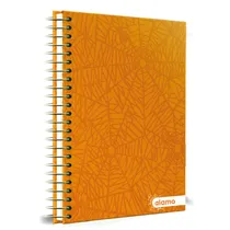  Caderno Uni...