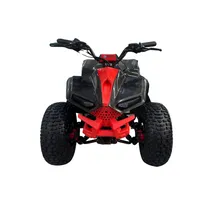 Moto Eletrica Velocifero Quadriciclo Atv-e 750W - Red