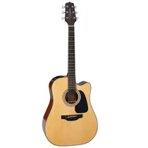  Takamine GD...