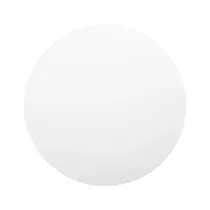 Mi Smart LED Ceiling Light (450MM)