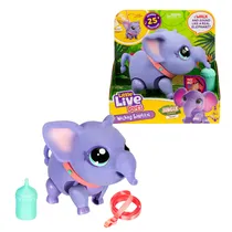 Elefante In...