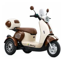 Moto Electri...
