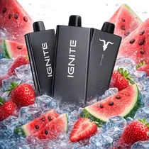 Ignite V55 S...