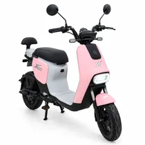 Moto Electri...
