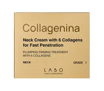  Collagenina...