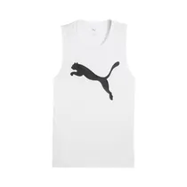  Regata Puma...
