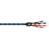  Wireworld O...