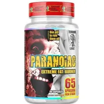  Landerfit P...