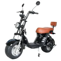 Moto Eletrica Fontaine X13 B1 1000W Lithium Matt Black PY