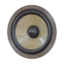 Focal Spare ...