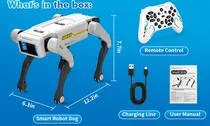 Perro Robot ...