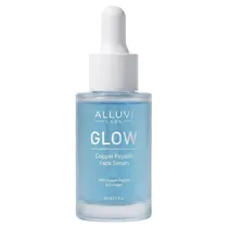  Alluvi Labs...