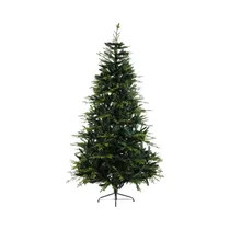  Árbol de Na...