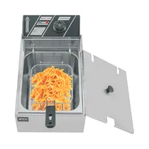 Fritadeira Elétrica FTX FTXDF-10 - 2500W - 10L - 220V 50/60HZ - Prata