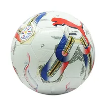  Pelota Puma...