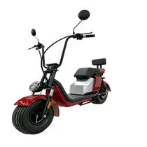  Moto Electr...