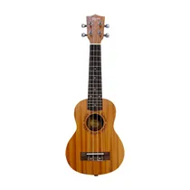  Ukelele Tag...