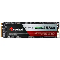  SSD M.2 de ...