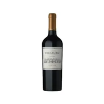  Errazuriz V...