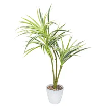  Planta Arti...
