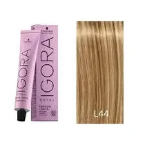 Schwarzkopf ...