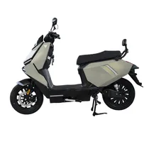 Motocicleta Blulory FX10