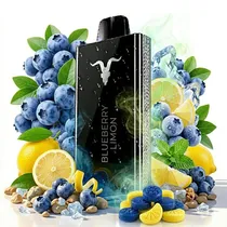  Ignite V80 ...