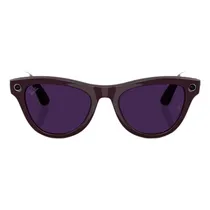 Gafas Inteli...
