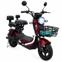 Moto Electri...