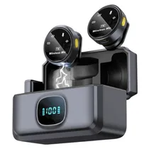 Microfone W...