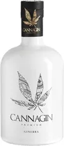  Gin Cannagi...