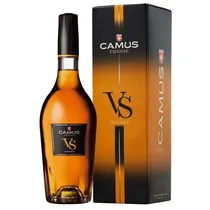  Camus V.s I...