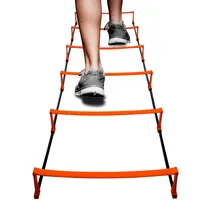  Escalera pa...