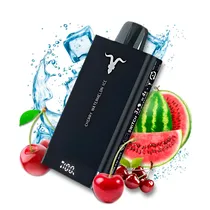  Ignite Vape...