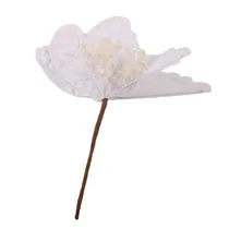  Flor Natali...