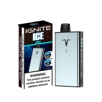 Ignite V400 Ice Mint 40000 Puffs
